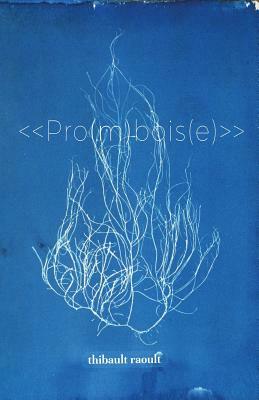 Pro(m)bois(e) by Thibault Raoult