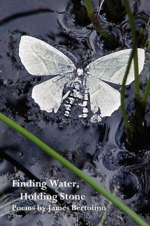 Finding Water, Holding Stone by James Bertolino