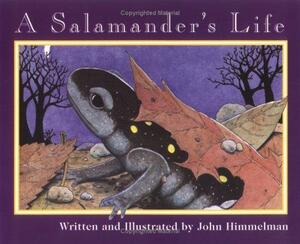 A Salamander's Life by John Himmelman