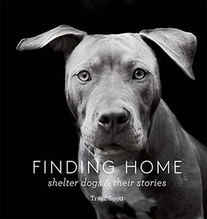 Finding Home: Shelter Dogs and Their Stories (A photographic tribute to rescue dogs) by Traer Scott