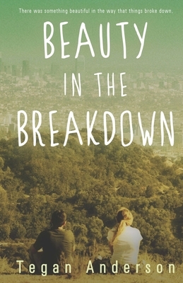 Beauty in the Breakdown by Tegan Anderson