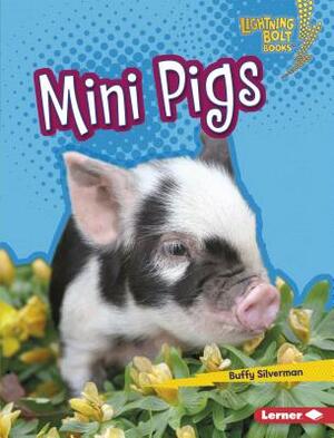 Mini Pigs by Buffy Silverman