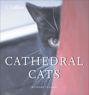 Cathedral Cats by Richard Surman