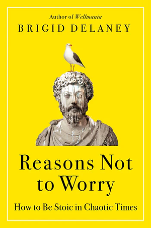 Reasons Not to Worry: How to Be Stoic in Chaotic Times by Brigid Delaney