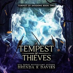 A Tempest of Thieves by Brenda K. Davies