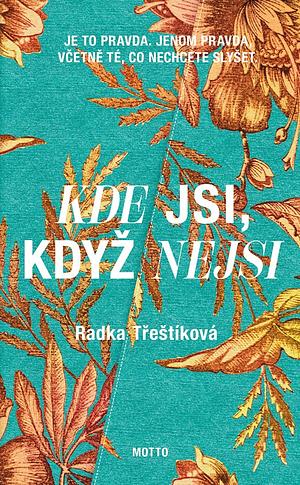 Kde jsi, když nejsi by Radka Třeštíková