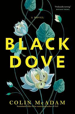 Black Dove by Colin McAdam