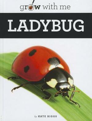 Ladybug by Kate Riggs