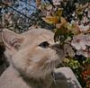 qilsivy's profile picture