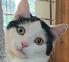 muzzfuzz's profile picture
