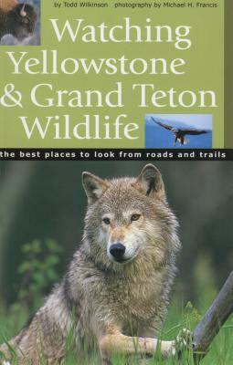 Watching Yellowstone & Grand Teton Wildlife by Todd Wilkinson