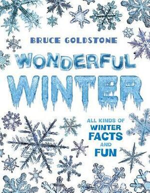 Wonderful Winter: All Kinds of Winter Facts and Fun by Bruce Goldstone