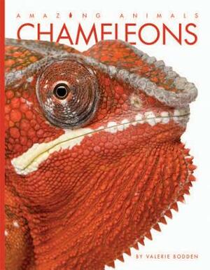 Chameleons by Valerie Bodden