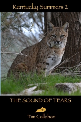 The Sound of Tears by Tim Callahan