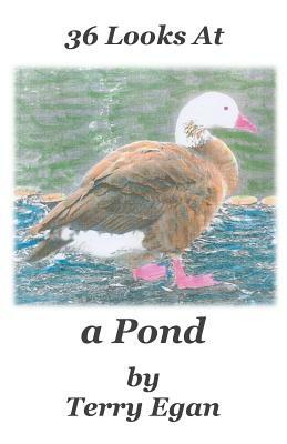 36 Looks At a Pond by Terry Egan