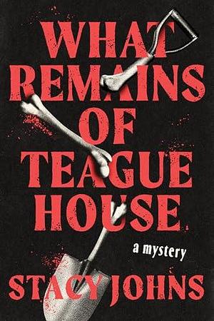 What Remains of Teague House: A Mystery by Stacy Johns, Stacy Johns