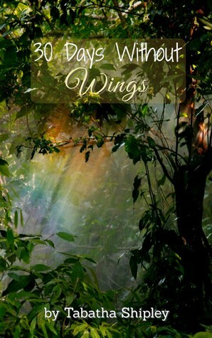 30 Days Without Wings by Tabatha Shipley