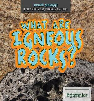 What Are Igneous Rocks? by Elisa Peters