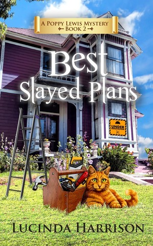 Best Slayed Plans by Lucinda Harrison