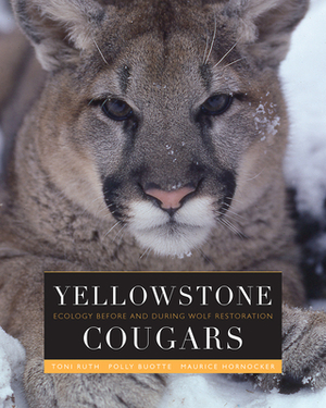Yellowstone Cougars: Ecology Before and During Wolf Restoration by Maurice G. Hornocker, Toni K. Ruth, Polly C. Buotte