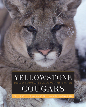 Yellowstone Cougars: Ecology Before and During Wolf Restoration by Toni K. Ruth, Maurice G. Hornocker, Polly C. Buotte