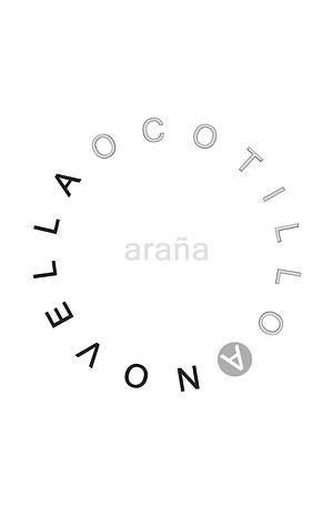 Ocotillo by Araña