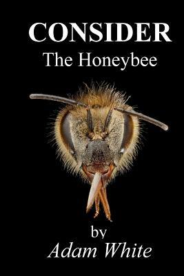 Consider The Honeybee by Adam White