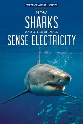 How Sharks and Other Animals Sense Electricity by Christine Honders