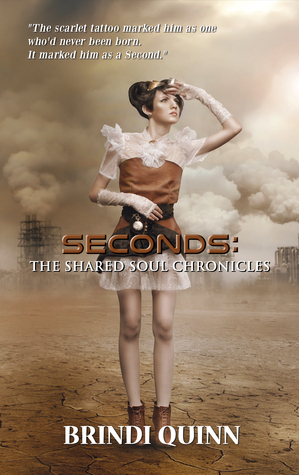 Seconds: The Shared Soul Chronicles by Brindi Quinn