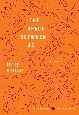 The Space Between Us: A Novel (P.S.) 1st (first) 1st (first) Edition by Umrigar, Thrity published by Harper Perennial Modern Classics by Thrity Umrigar, Thrity Umrigar