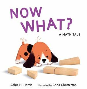 Now What? a Math Tale by Chris Chatterton, Robie H. Harris