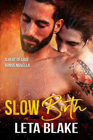 Slow Birth by Leta Blake