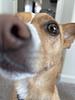 emilymyy's profile picture