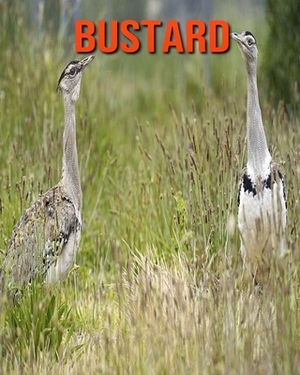 Bustard: Learn About Bustard and Enjoy Colorful Pictures by Diane Jackson