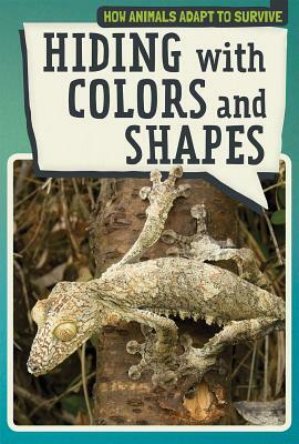 Hiding with Colors and Shapes by Melissa Rae Shofner, Melissa Rae Shofner