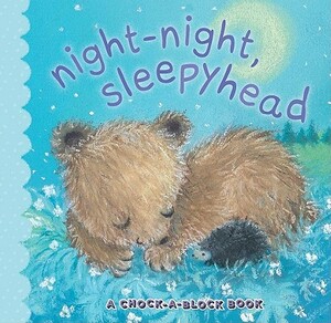 Night-Night, Sleepyhead: A Chock-A-Block Book by Jean McElroy