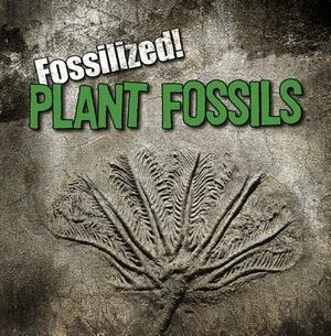 Plant Fossils by Kathleen Connors