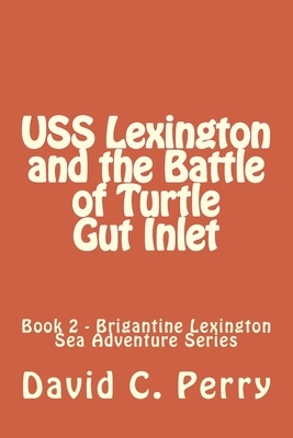 USS Lexington and The Battle of Turtle Gut Inlet by David C. Perry