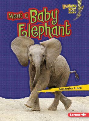 Meet a Baby Elephant by Samantha S. Bell