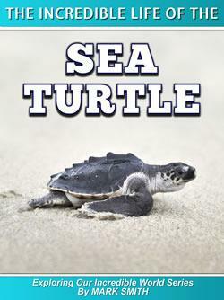The Incredible Life of the Sea Turtle by Mark Smith