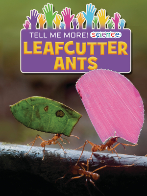 Leafcutter Ants by Ruth Owen