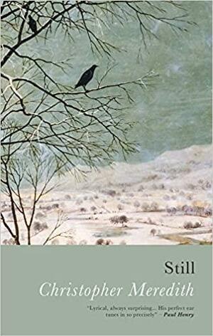 Still by Christopher Meredith