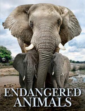 Endangered Animals by Ben Hoare, Tom Jackson