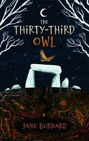 The Thirty-Third Owl by Jane Burnard