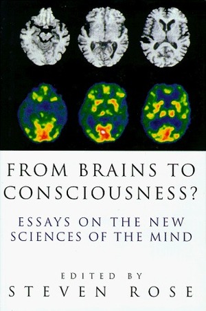 From Brains to Consciousness? Essays on the New Sciences of the Mind by Steven Rose
