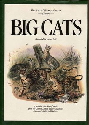 Big Cats by Joseph Wolf