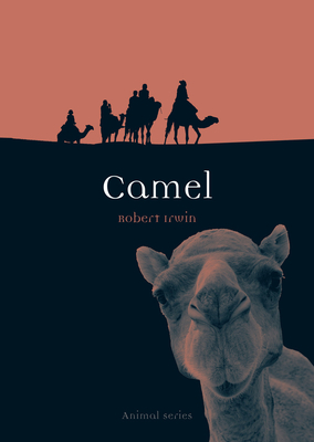 Camel by Robert Irwin