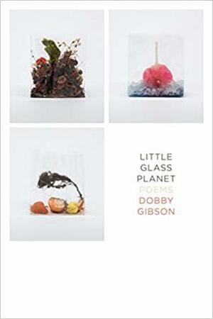 Little Glass Planet: Poems by Dobby Gibson