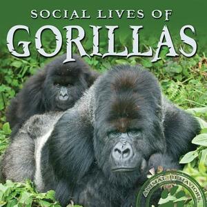 Social Lives of Gorillas by Rachel M. Wilson