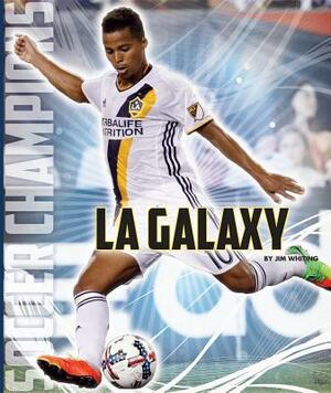 La Galaxy by Jim Whiting